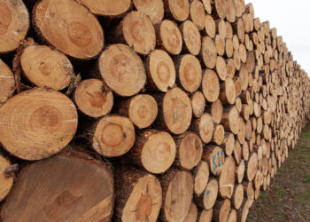 Does 711 Sell Firewood