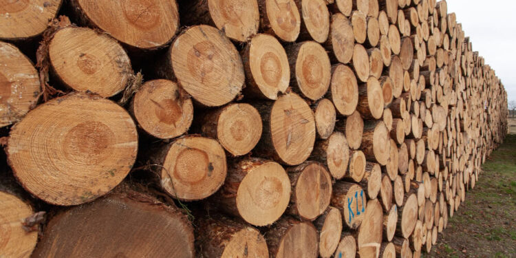 Does 711 Sell Firewood