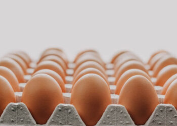 Does Family Dollar Sell Eggs