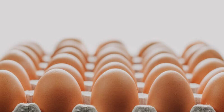 Does Family Dollar Sell Eggs