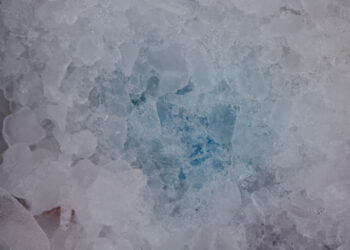 Choosing the Right Industrial Ice Maker