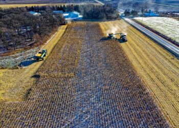 Cost-Effective Solutions for Small-Scale Farming Equipment Needs