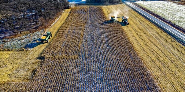 Cost-Effective Solutions for Small-Scale Farming Equipment Needs